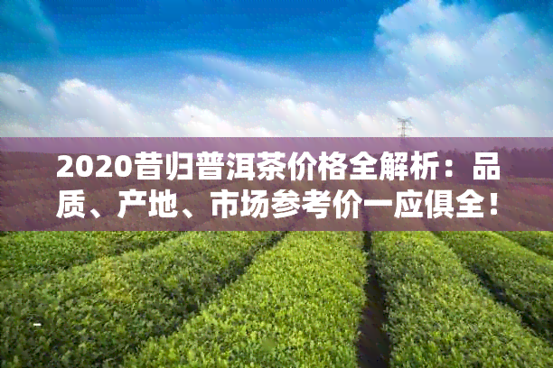 2020昔归普洱茶价格全解析：品质、产地、市场参考价一应俱全！