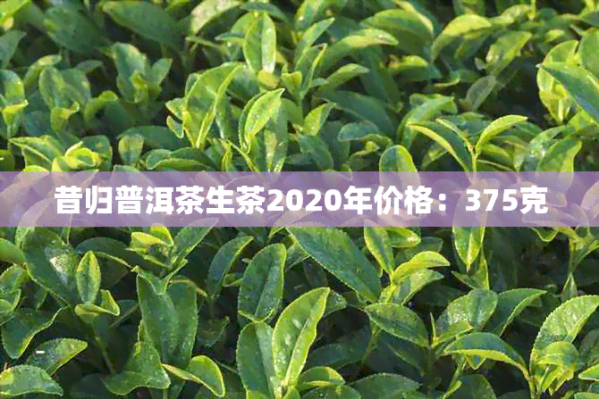 昔归普洱茶生茶2020年价格：375克