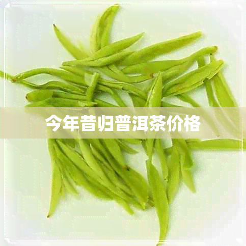 今年昔归普洱茶价格