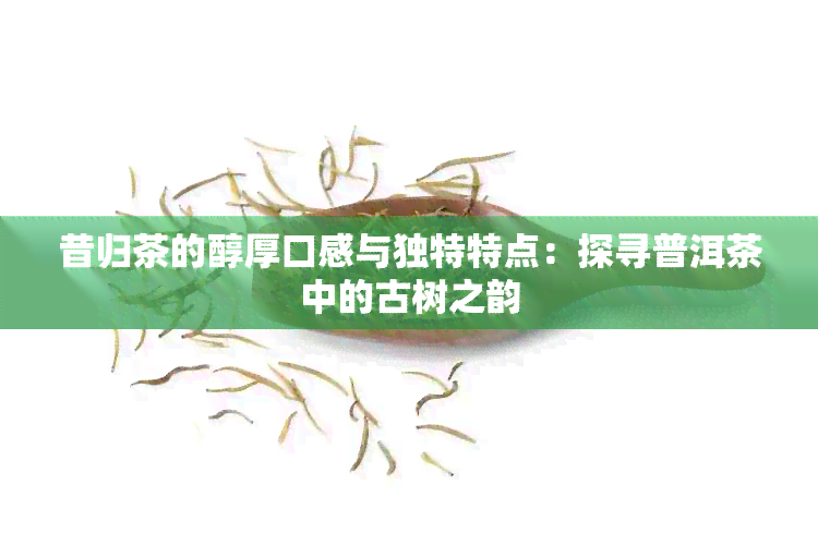 昔归茶的醇厚口感与独特特点：探寻普洱茶中的古树之韵