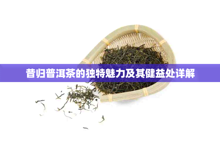 昔归普洱茶的独特魅力及其健益处详解