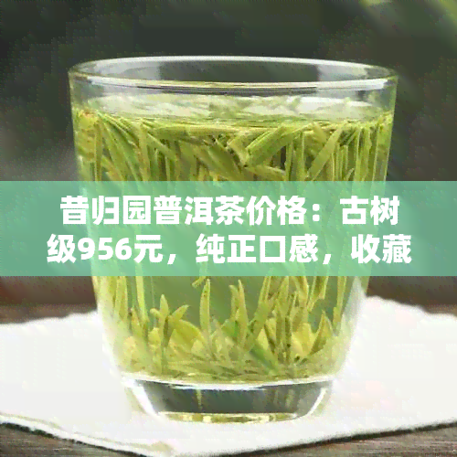 昔归园普洱茶价格：古树级956元，纯正口感，收藏佳品。