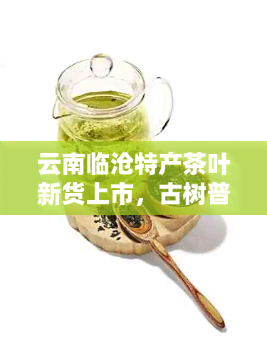 云南临沧特产茶叶新货上市，古树普洱茶一斤售价实，京东促销中！