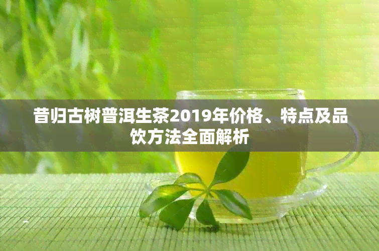 昔归古树普洱生茶2019年价格、特点及品饮方法全面解析