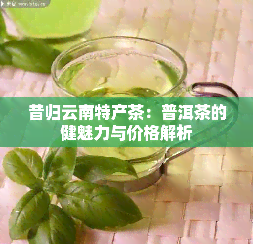 昔归云南特产茶：普洱茶的健魅力与价格解析