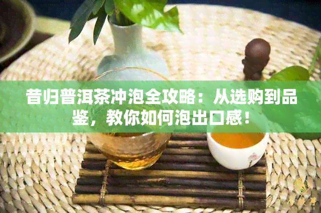 昔归普洱茶冲泡全攻略：从选购到品鉴，教你如何泡出口感！