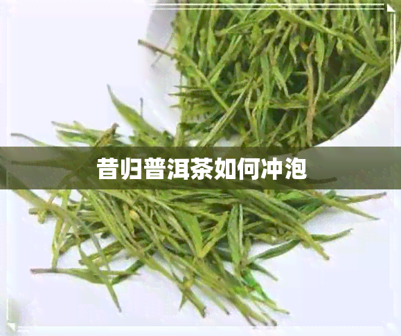 昔归普洱茶如何冲泡