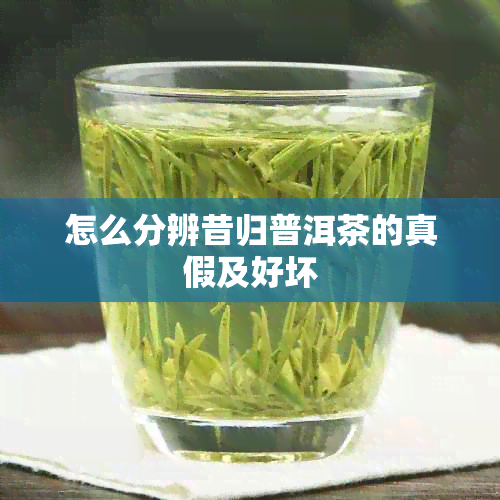 怎么分辨昔归普洱茶的真假及好坏