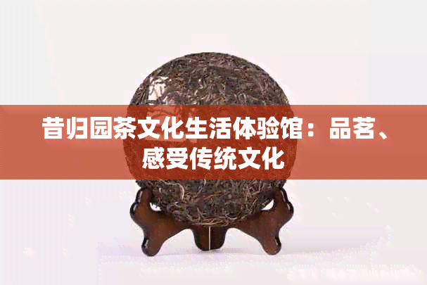 昔归园茶文化生活体验馆：品茗、感受传统文化