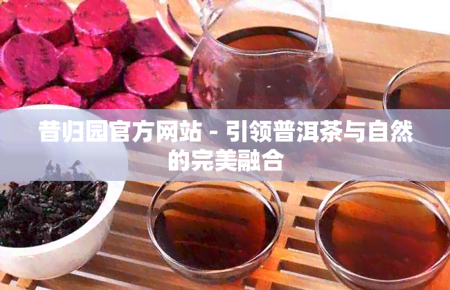 昔归园官方网站 - 引领普洱茶与自然的完美融合