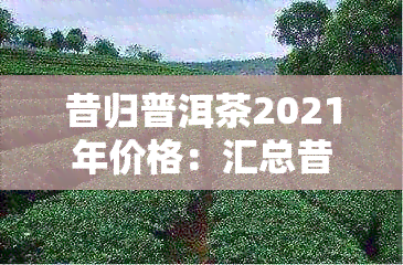 昔归普洱茶2021年价格：汇总昔归普洱茶各个年份的价格，包括2021年。