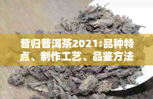 昔归普洱茶2021:品种特点、制作工艺、品鉴方法及购买指南一应俱全