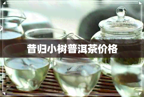 昔归小树普洱茶价格