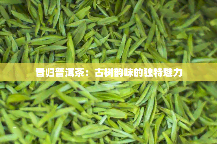 昔归普洱茶：古树韵味的独特魅力