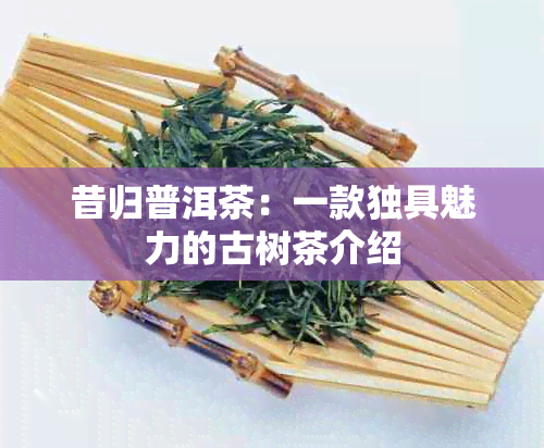 昔归普洱茶：一款独具魅力的古树茶介绍