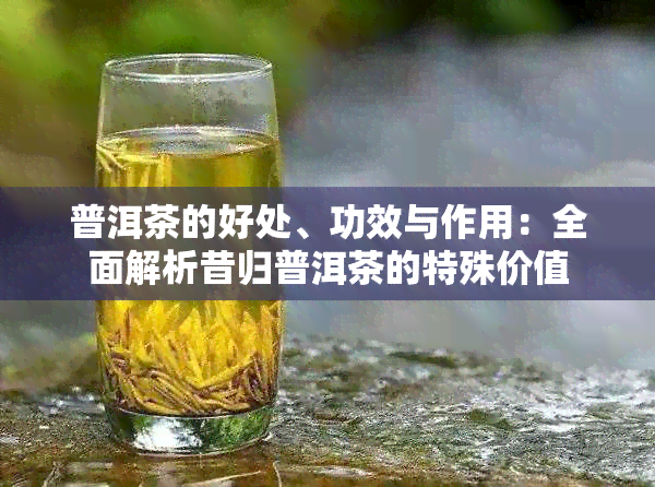 普洱茶的好处、功效与作用：全面解析昔归普洱茶的特殊价值