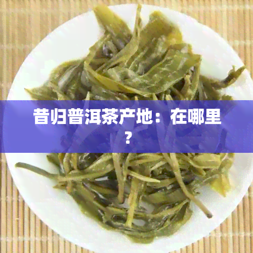 昔归普洱茶产地：在哪里？