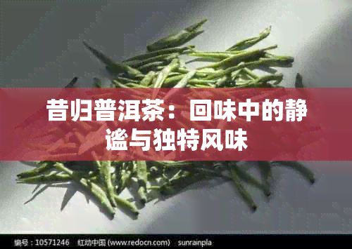 昔归普洱茶：回味中的静谧与独特风味