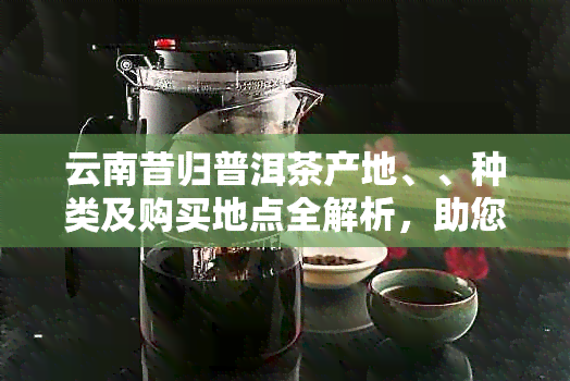 云南昔归普洱茶产地、、种类及购买地点全解析，助您轻松找到理想茶叶