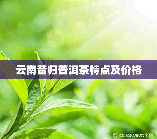 云南昔归普洱茶特点及价格