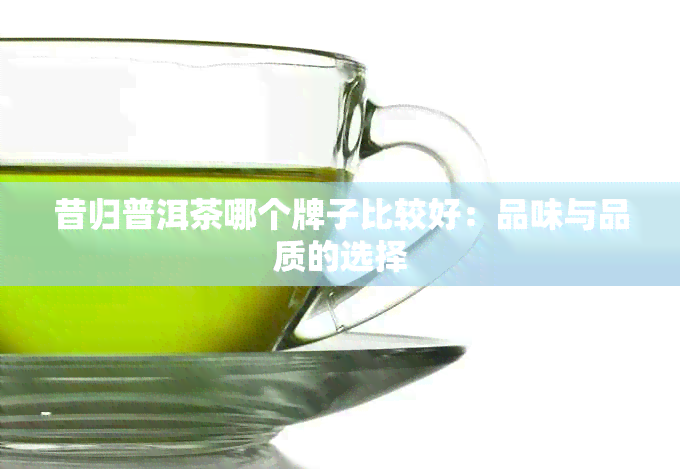 昔归普洱茶哪个牌子比较好：品味与品质的选择