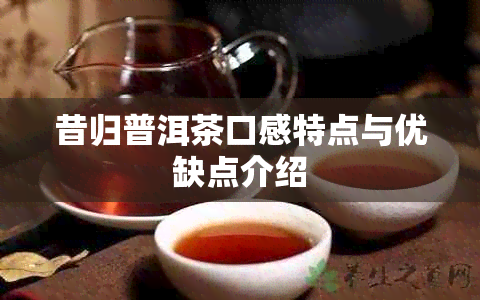 昔归普洱茶口感特点与优缺点介绍