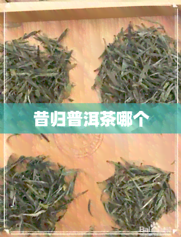 昔归普洱茶哪个