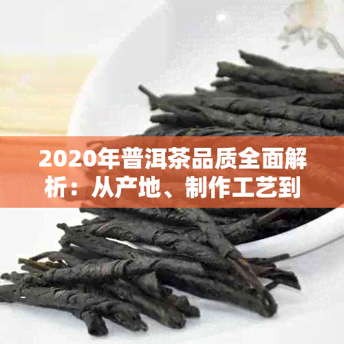 2020年普洱茶品质全面解析：从产地、制作工艺到品饮技巧的全方位指南