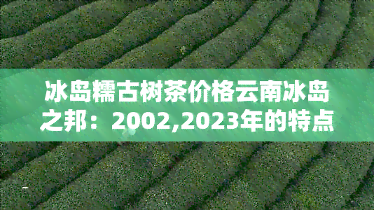 冰岛糯古树茶价格云南冰岛之邦：2002,2023年的特点与价值