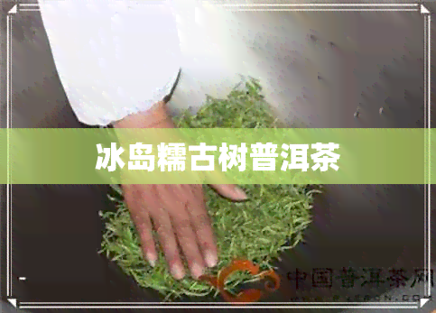 冰岛糯古树普洱茶