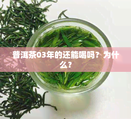 普洱茶03年的还能喝吗？为什么？