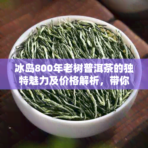 冰岛800年老树普洱茶的独特魅力及价格解析，带你领略千年古树的品质之源