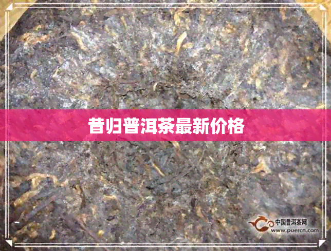 昔归普洱茶最新价格