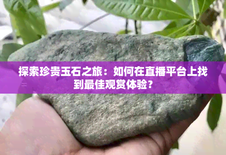 探索珍贵玉石之旅：如何在直播平台上找到更佳观赏体验？