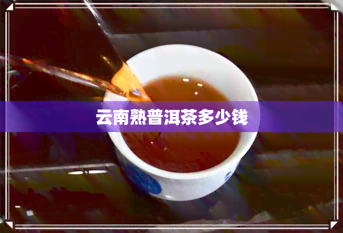 云南熟普洱茶多少钱