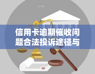 信用卡逾期问题合法投诉途径与应对策略