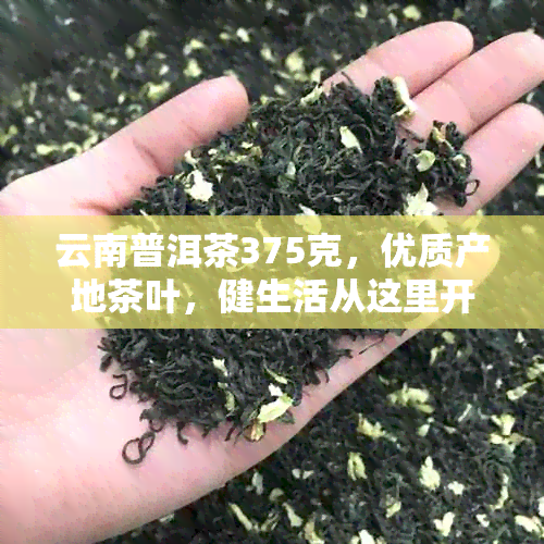 云南普洱茶375克，优质产地茶叶，健生活从这里开始