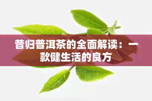 昔归普洱茶的全面解读：一款健生活的良方