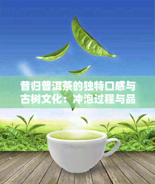 昔归普洱茶的独特口感与古树文化：冲泡过程与品质特点分析