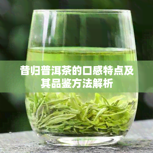 昔归普洱茶的口感特点及其品鉴方法解析