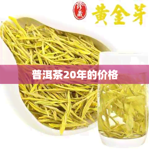 普洱茶20年的价格