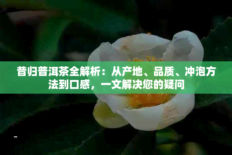 昔归普洱茶全解析：从产地、品质、冲泡方法到口感，一文解决您的疑问