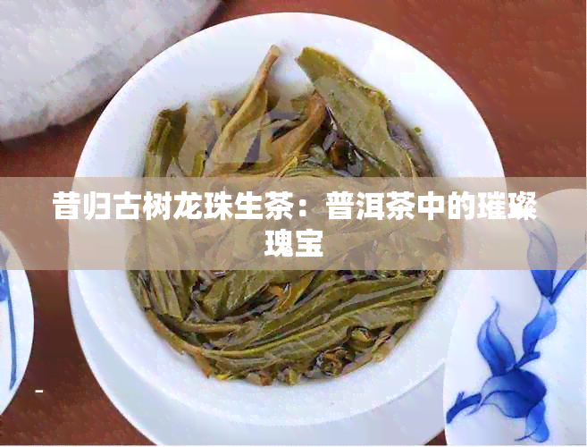 昔归古树龙珠生茶：普洱茶中的璀璨瑰宝