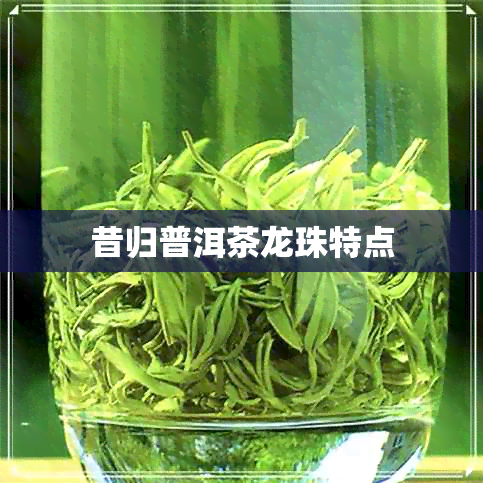 昔归普洱茶龙珠特点