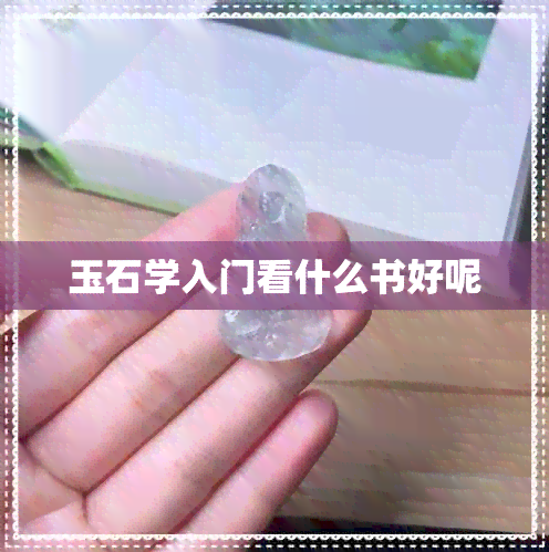 玉石学入门看什么书好呢