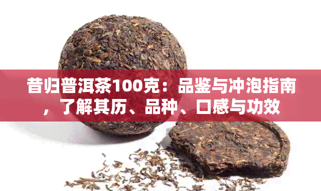 昔归普洱茶100克：品鉴与冲泡指南，了解其历、品种、口感与功效