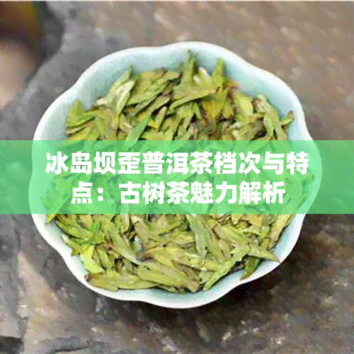 冰岛坝歪普洱茶档次与特点：古树茶魅力解析