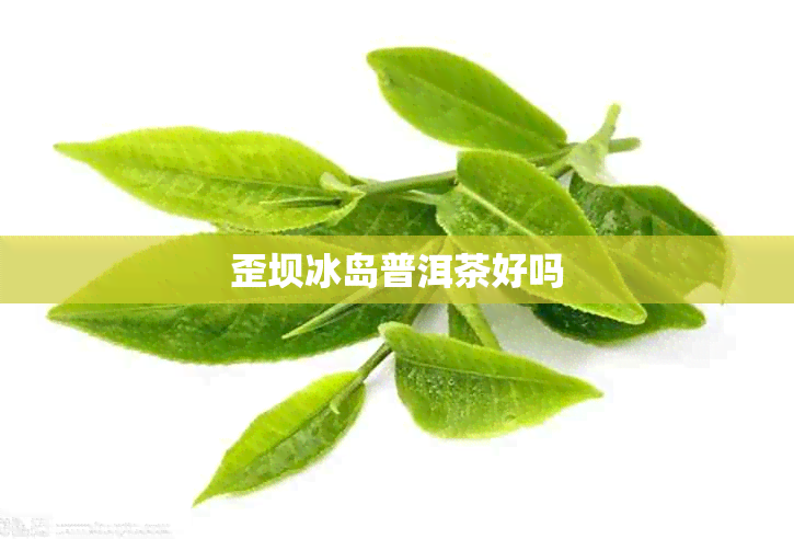 歪坝冰岛普洱茶好吗