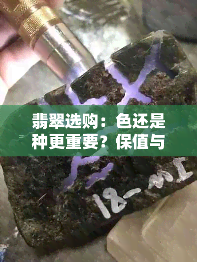 翡翠选购：色还是种更重要？保值与升值的关键因素是什么？