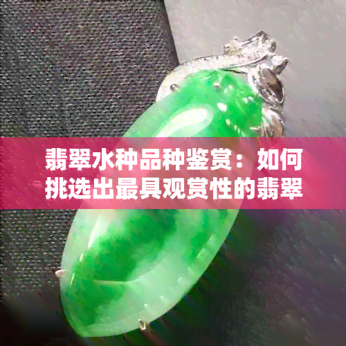 翡翠水种品种鉴赏：如何挑选出更具观赏性的翡翠？